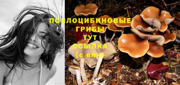 прущая мука Дмитриев
