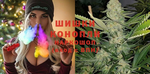 прущая мука Дмитриев