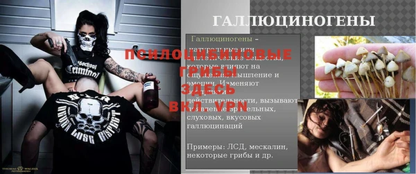 спиды Дмитровск